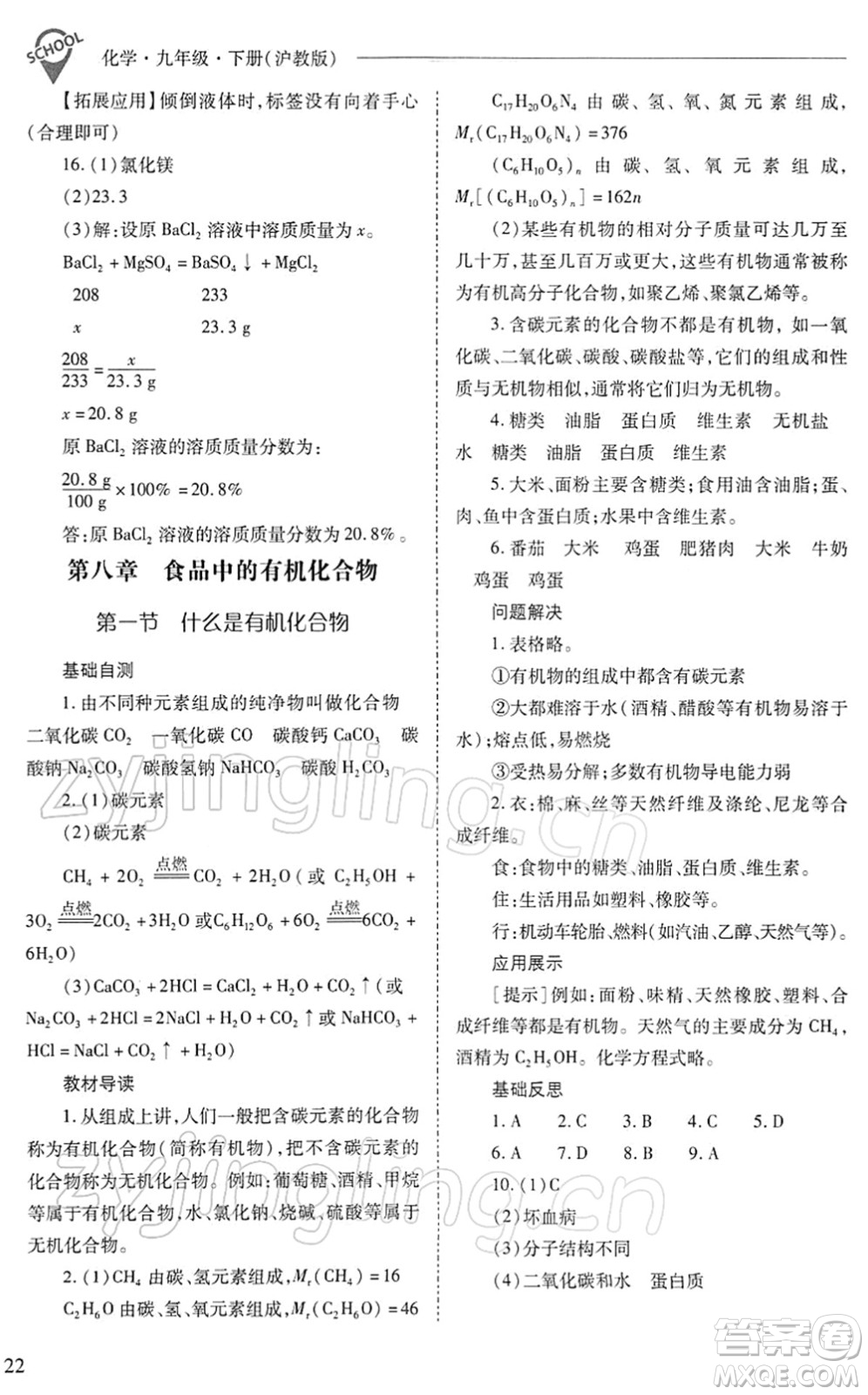 山西教育出版社2022新課程問題解決導(dǎo)學(xué)方案九年級化學(xué)下冊滬教版答案