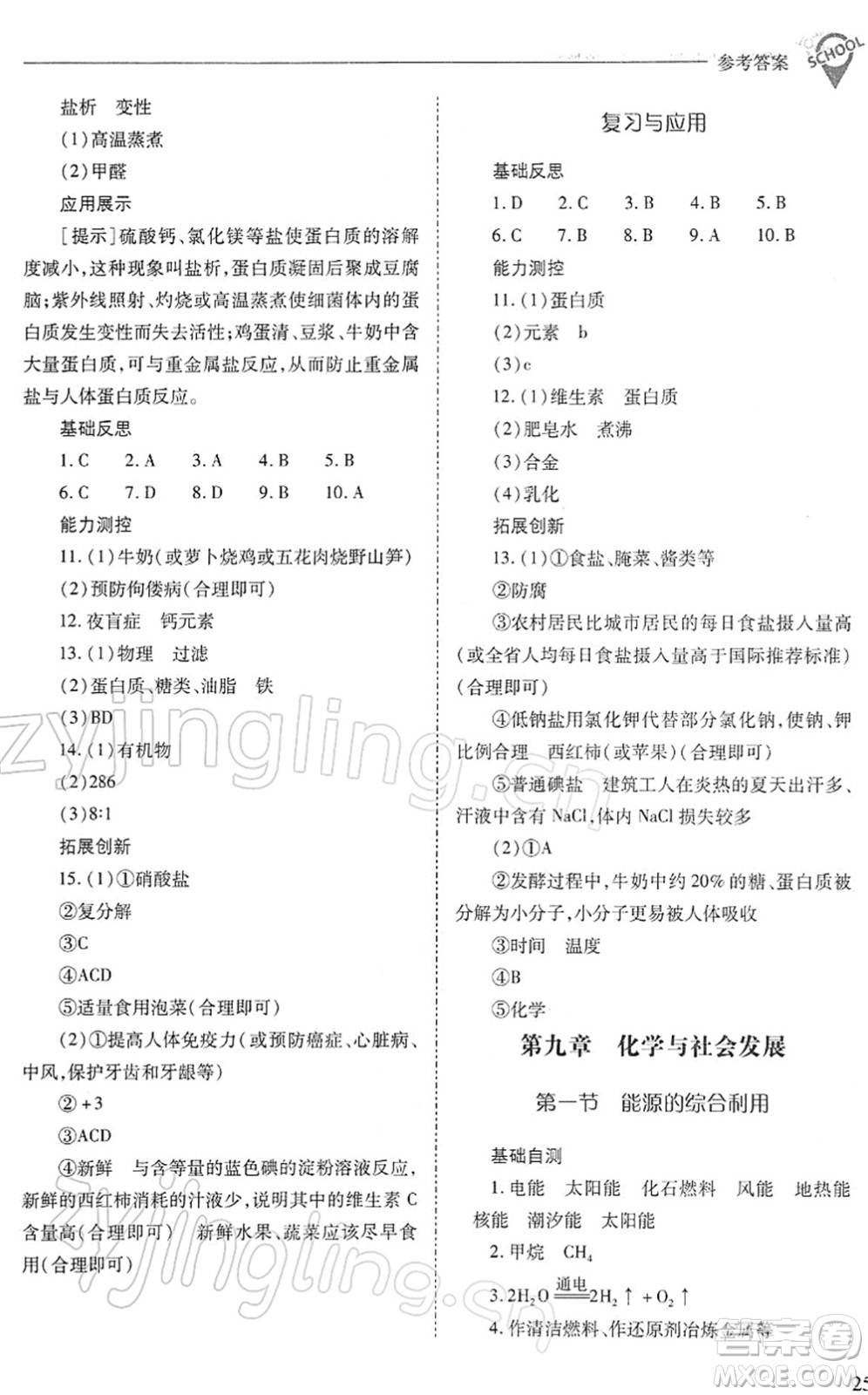 山西教育出版社2022新課程問題解決導(dǎo)學(xué)方案九年級化學(xué)下冊滬教版答案