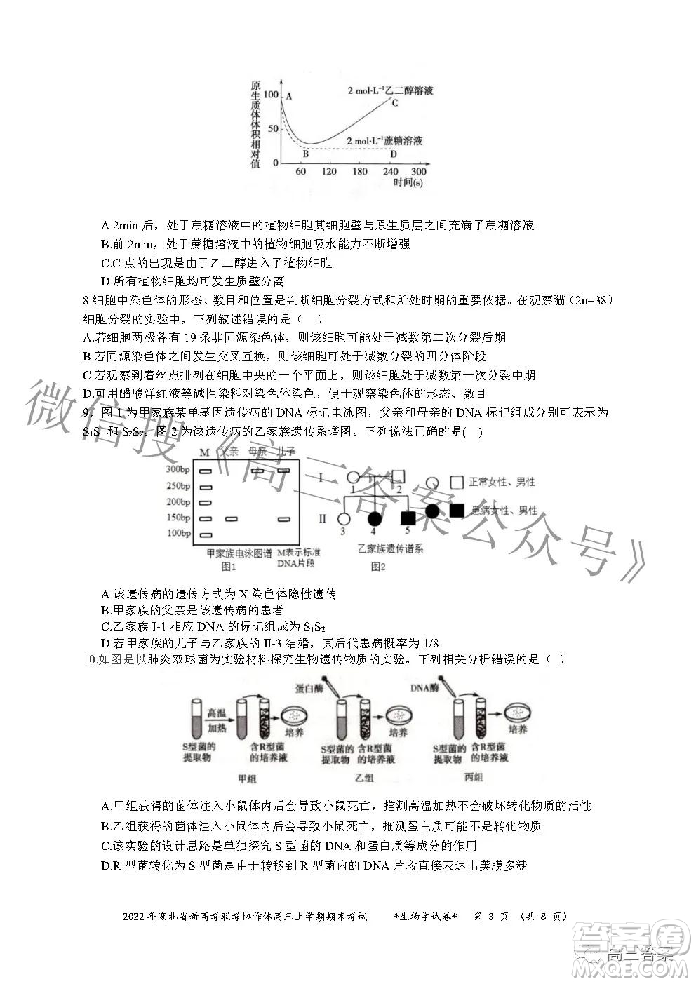 2022年湖北省新高考協(xié)作體高三上學(xué)期期末考試生物學(xué)試卷及答案