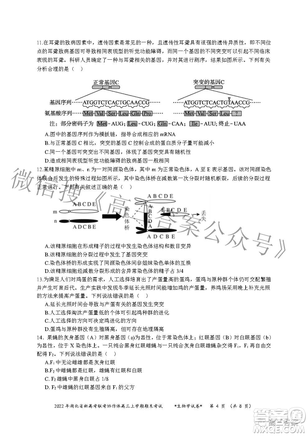 2022年湖北省新高考協(xié)作體高三上學(xué)期期末考試生物學(xué)試卷及答案