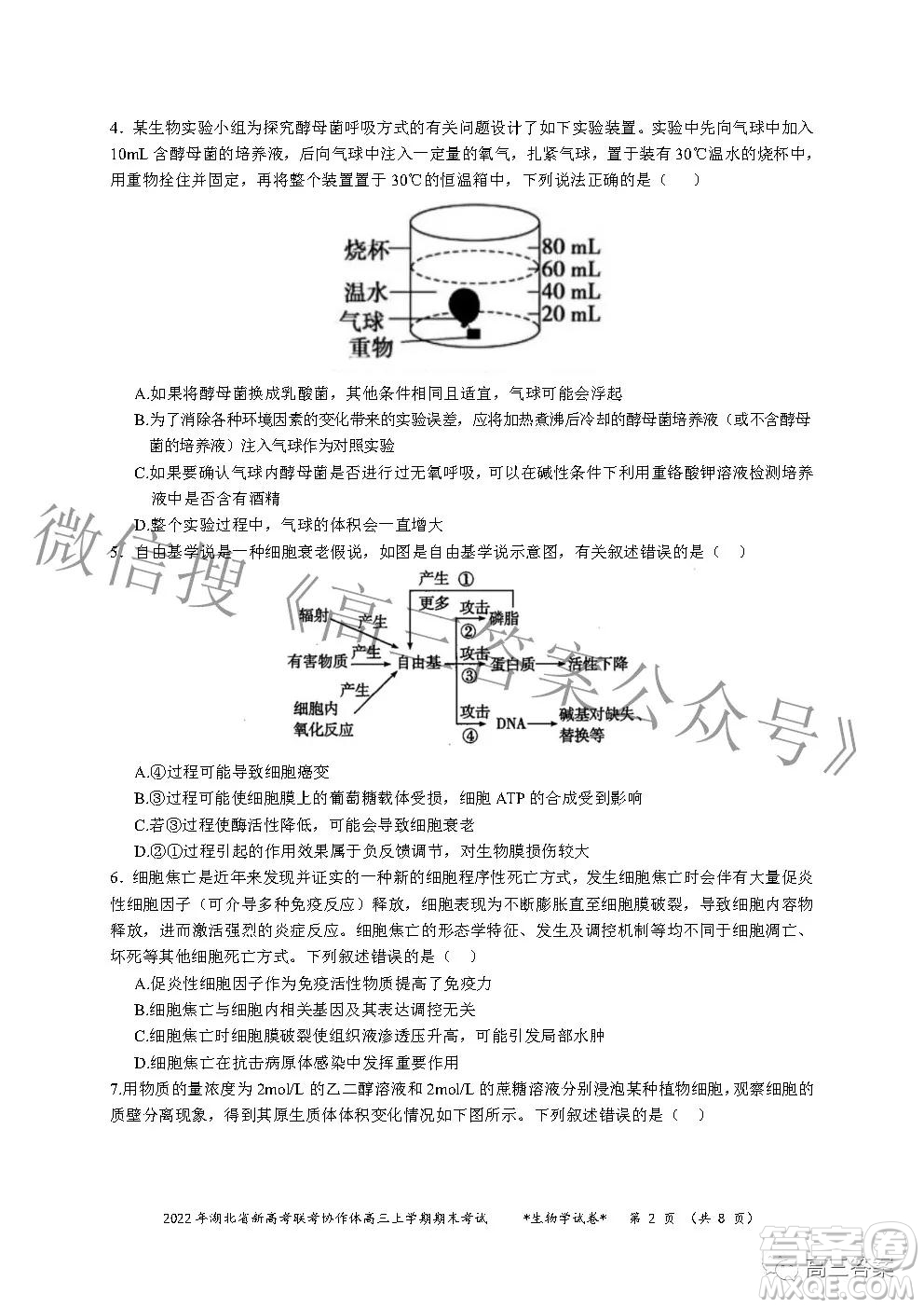 2022年湖北省新高考協(xié)作體高三上學(xué)期期末考試生物學(xué)試卷及答案