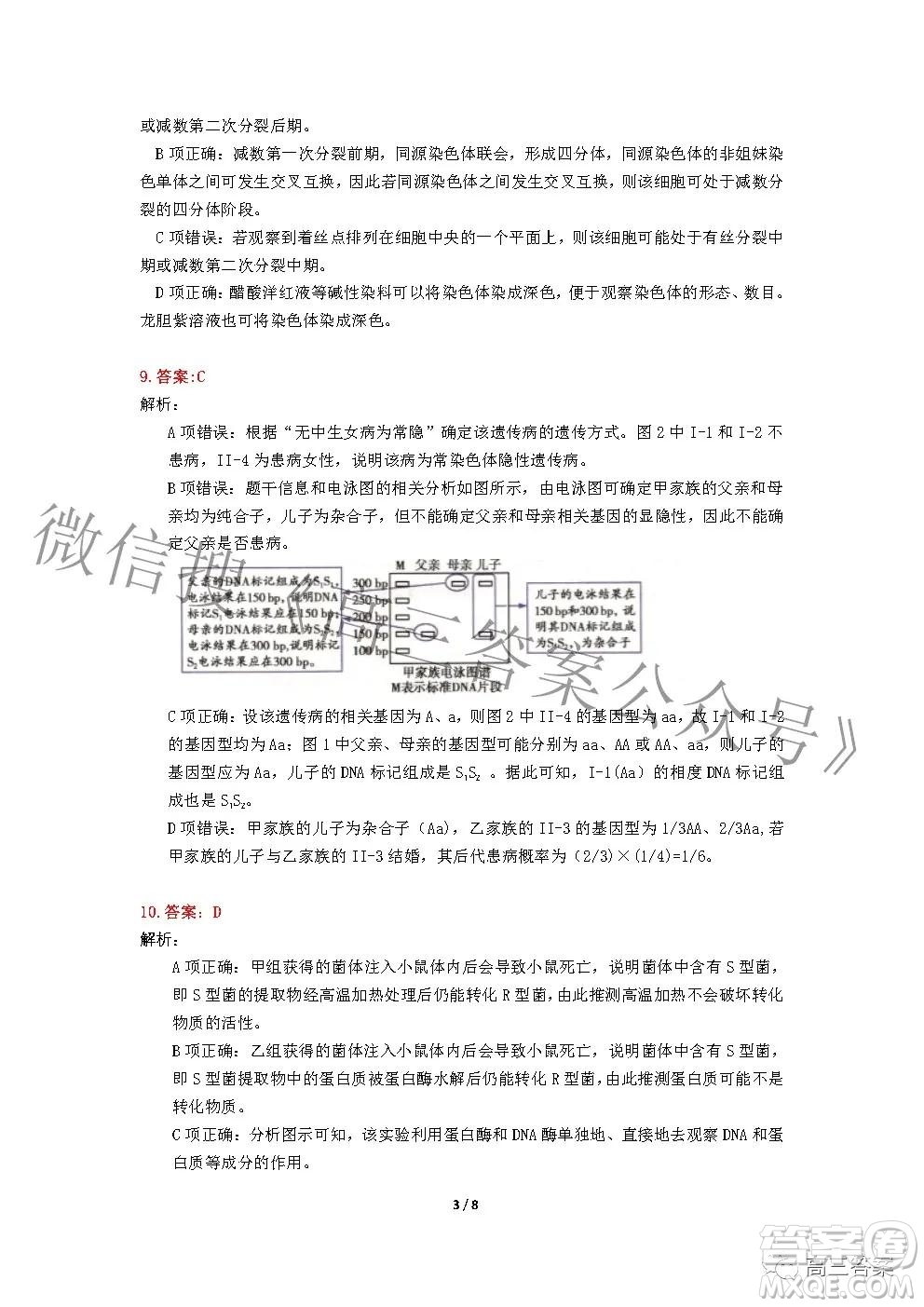 2022年湖北省新高考協(xié)作體高三上學(xué)期期末考試生物學(xué)試卷及答案