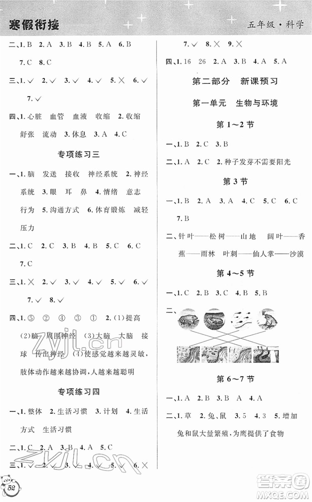 浙江科學技術出版社2022第三學期寒假銜接五年級科學JK教科版答案