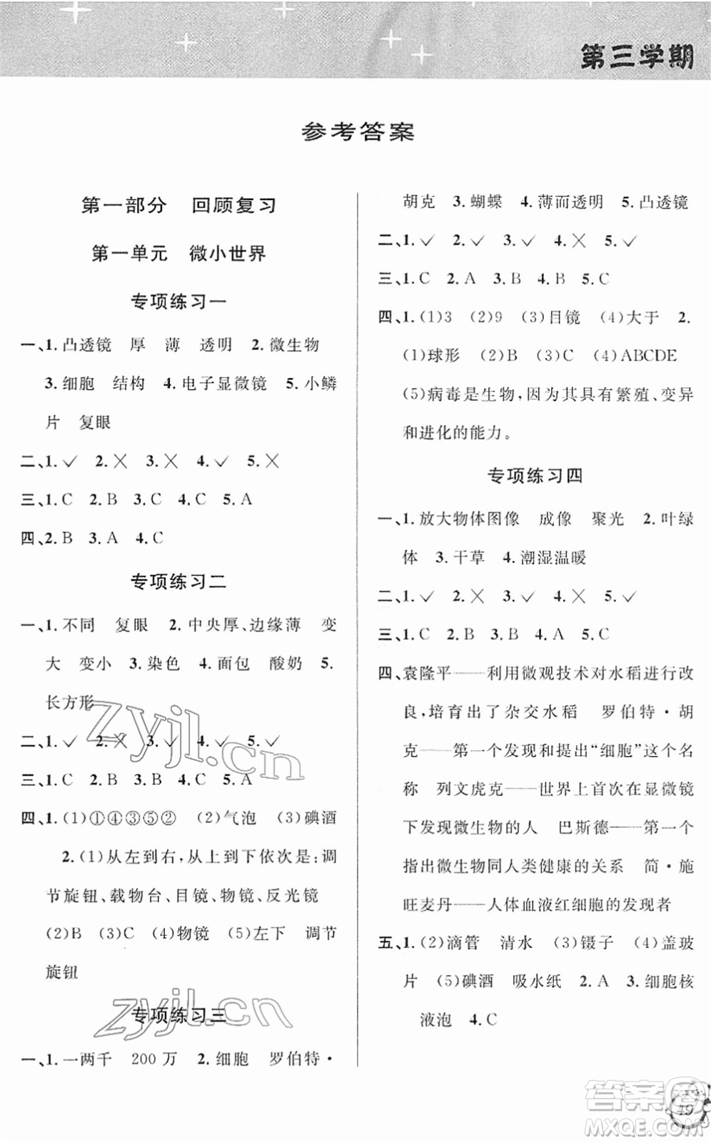 浙江科學(xué)技術(shù)出版社2022第三學(xué)期寒假銜接六年級科學(xué)JK教科版答案