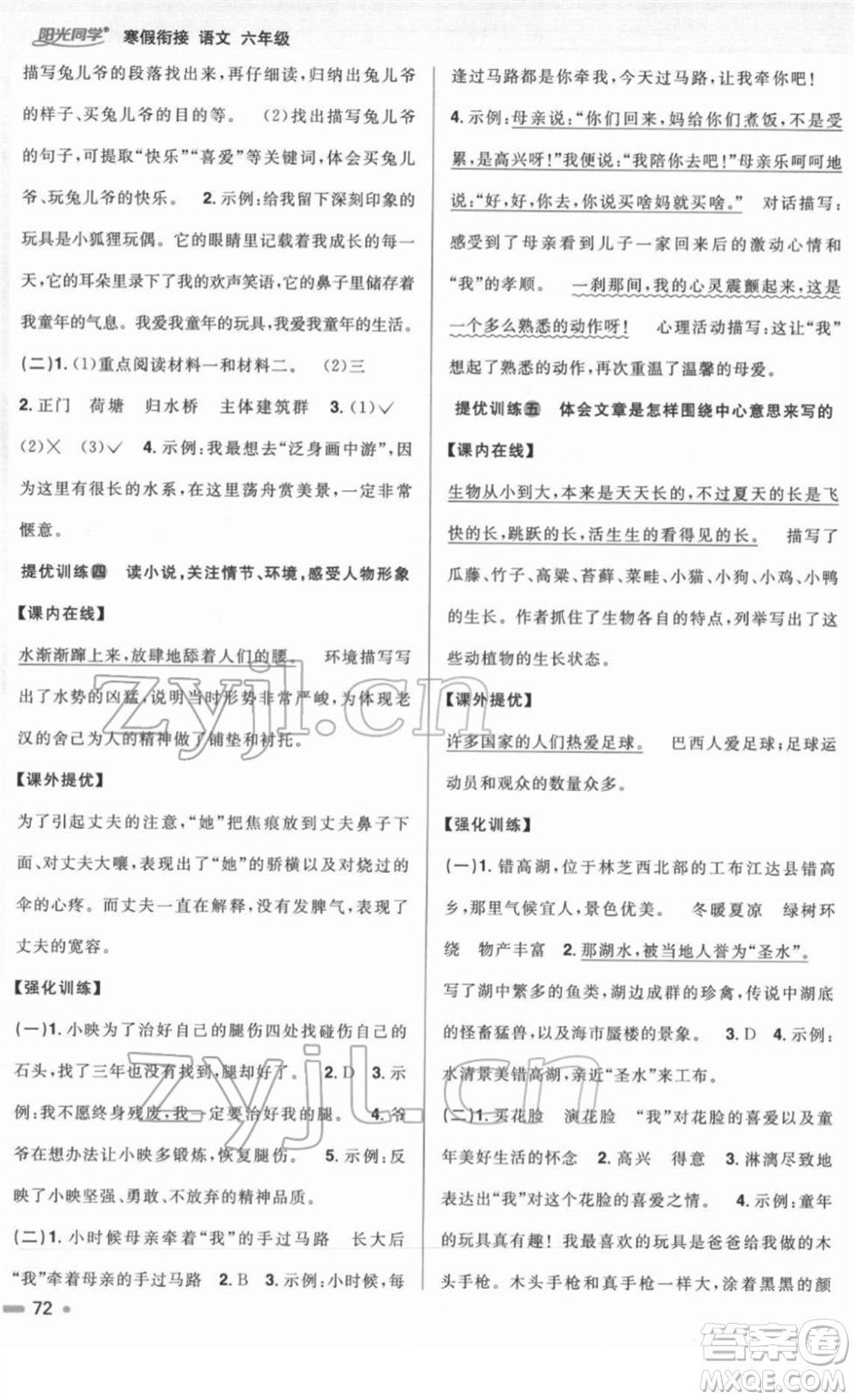 江西教育出版社2022陽光同學寒假銜接六年級語文人教版答案