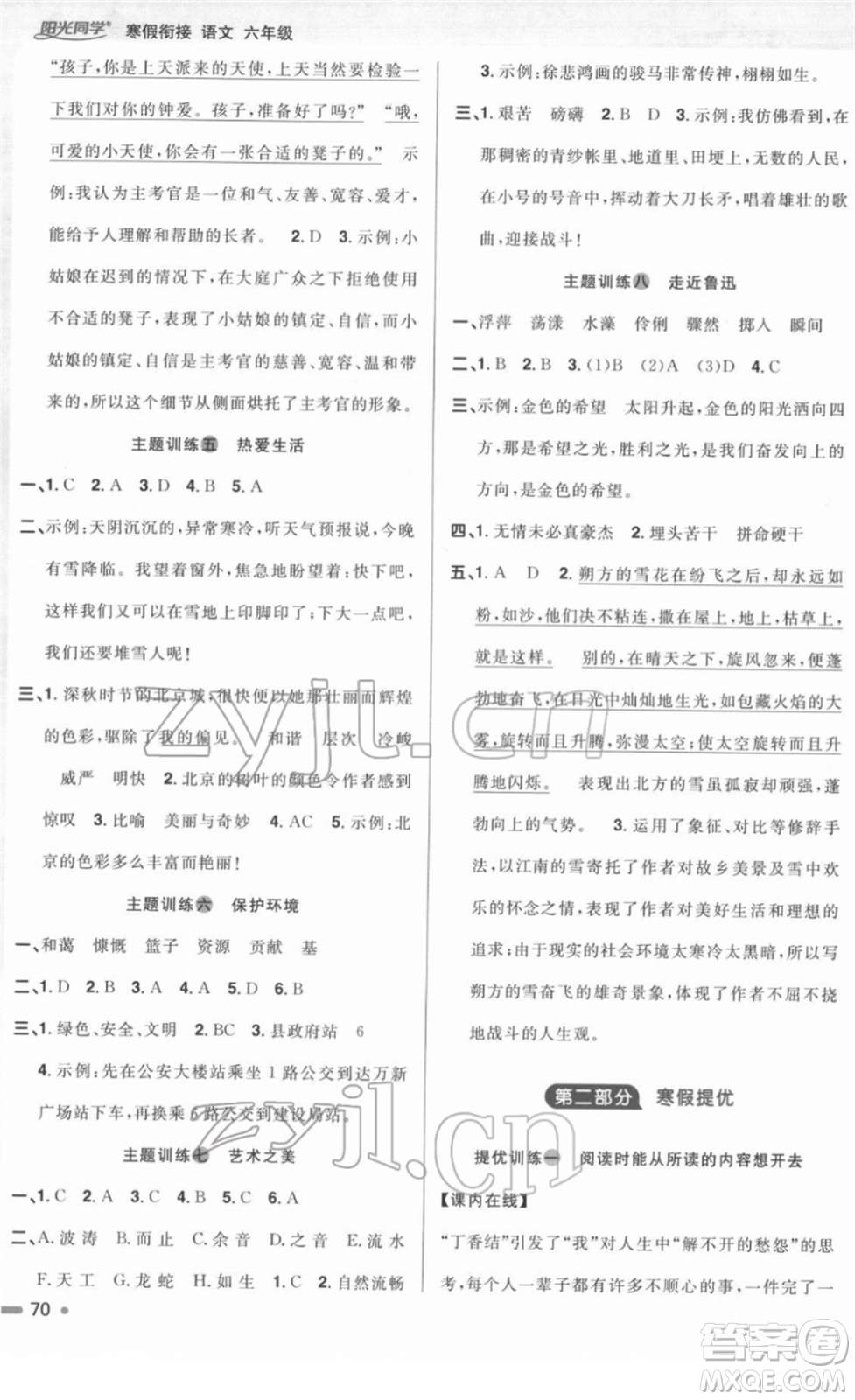 江西教育出版社2022陽光同學寒假銜接六年級語文人教版答案