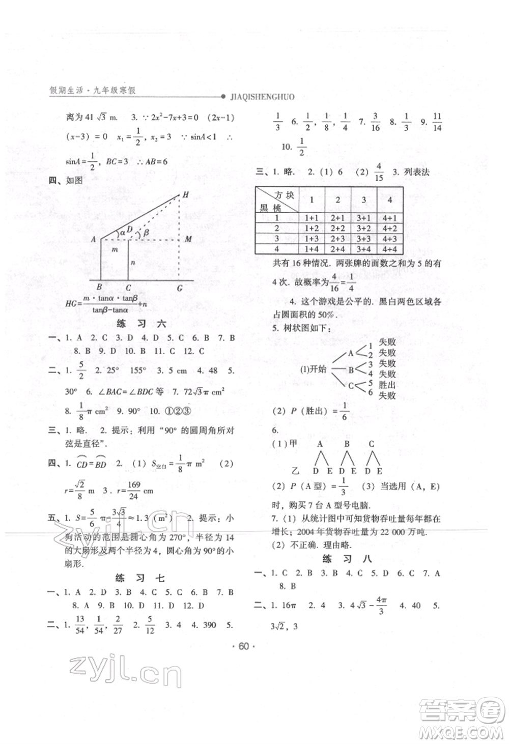 方圓電子音像出版社2022假期生活寒假九年級(jí)數(shù)學(xué)冀教版參考答案