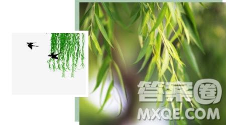 關(guān)于張岱的感悟作文800字 詩(shī)人張岱的讀后感作文800字
