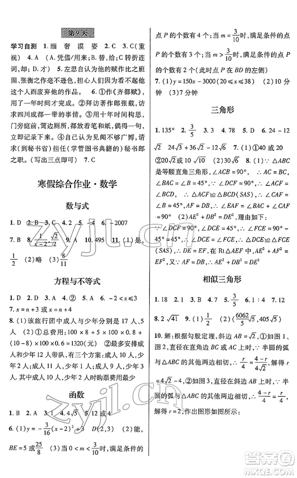 浙江科學(xué)技術(shù)出版社2022寒假綜合作業(yè)九年級(jí)合訂本通用版答案