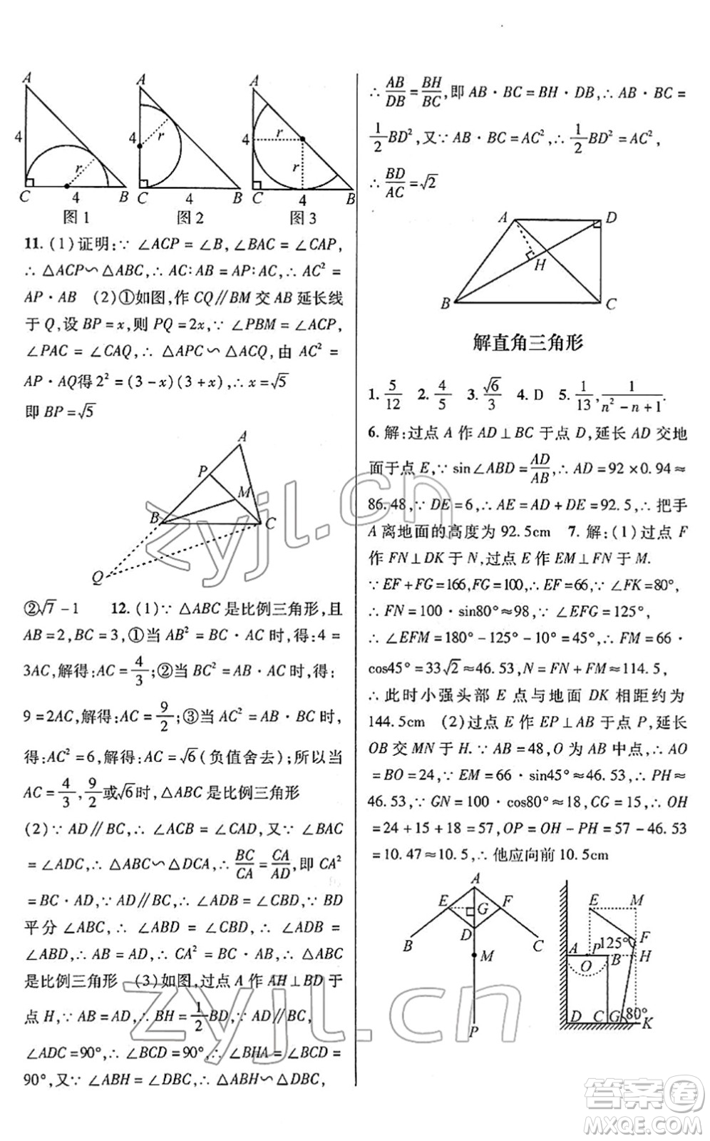 浙江科學(xué)技術(shù)出版社2022寒假綜合作業(yè)九年級(jí)合訂本通用版答案