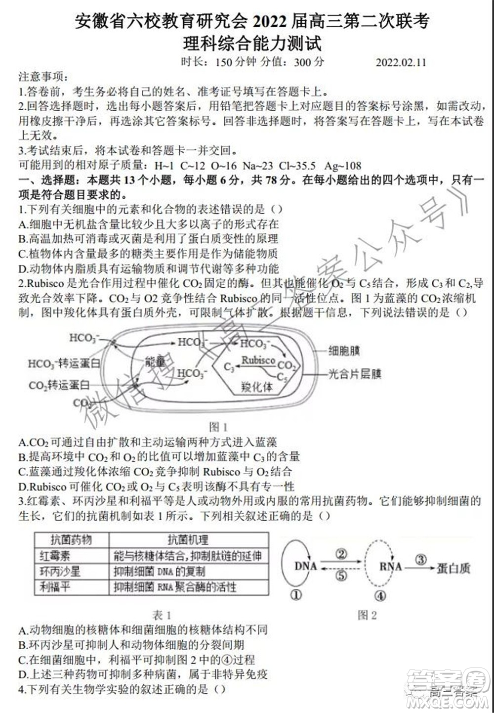 安徽省六校教育研究會2022屆高三聯(lián)考理科綜合能力測試答案