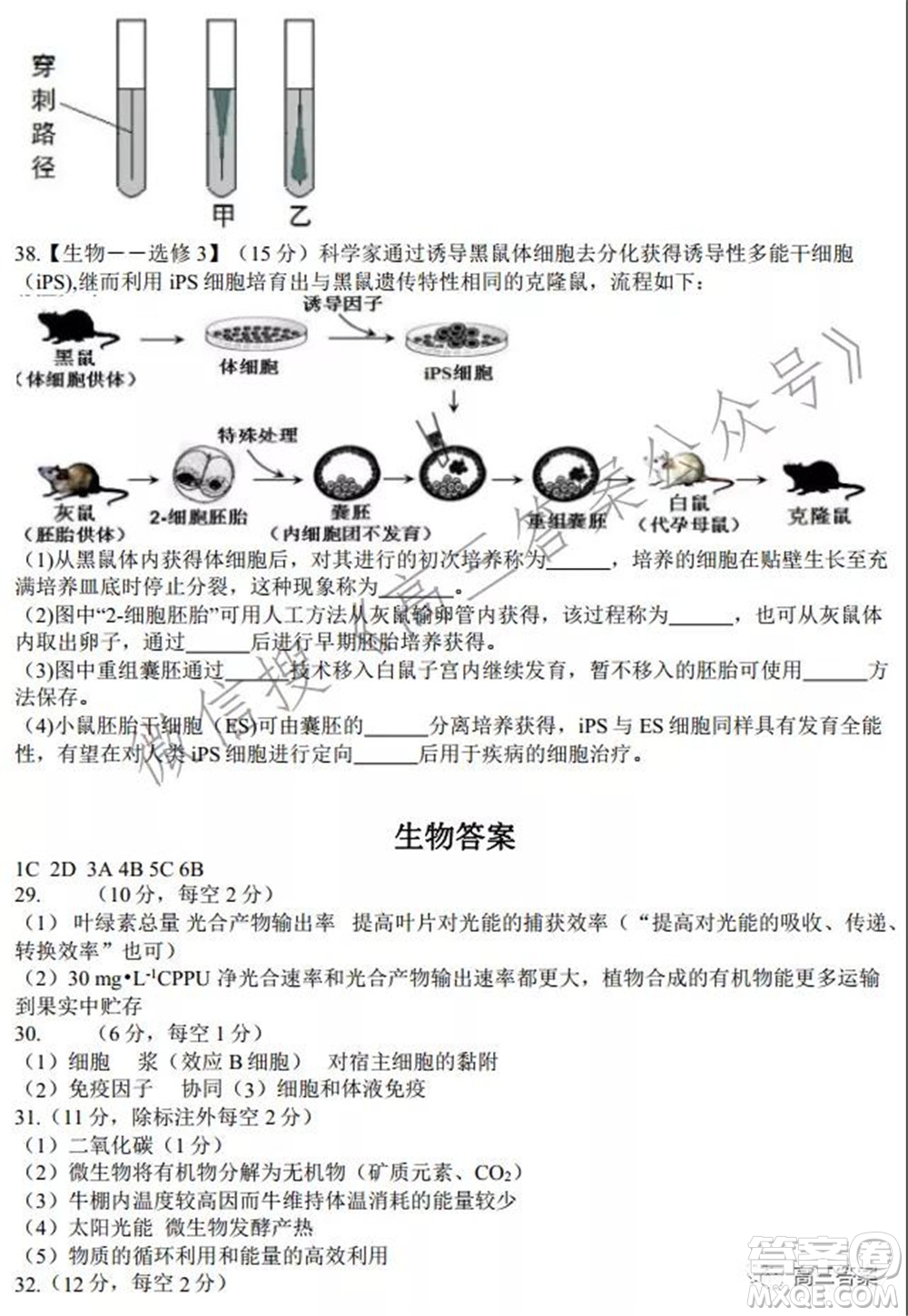 安徽省六校教育研究會2022屆高三聯(lián)考理科綜合能力測試答案