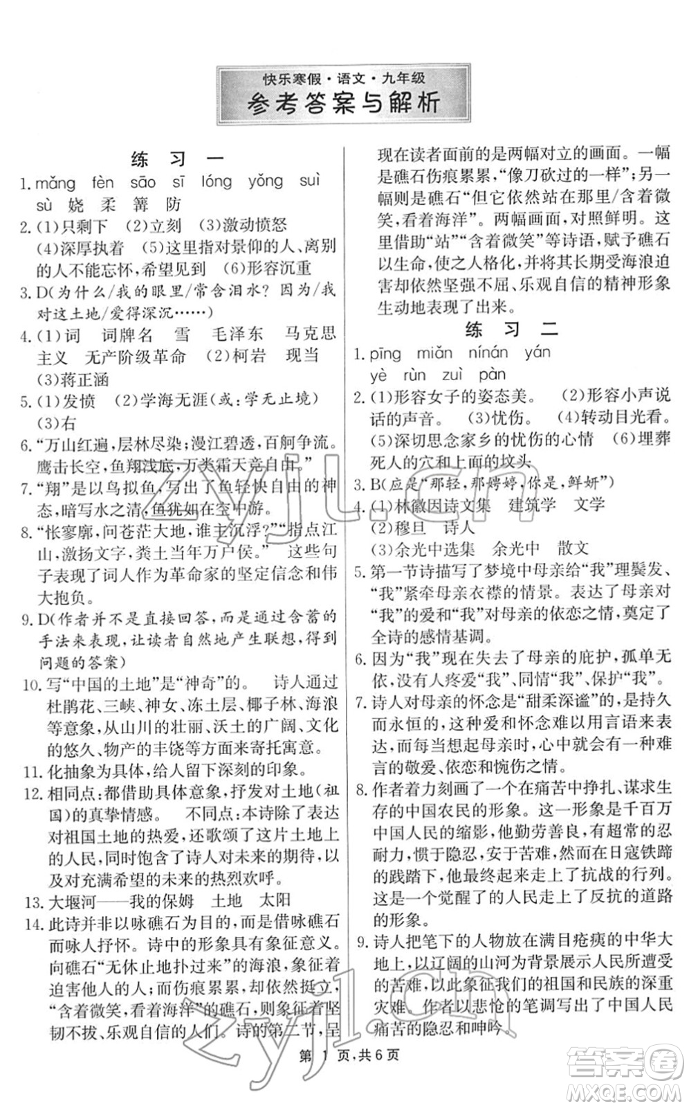 江蘇人民出版社2022快樂寒假九年級語文通用版答案