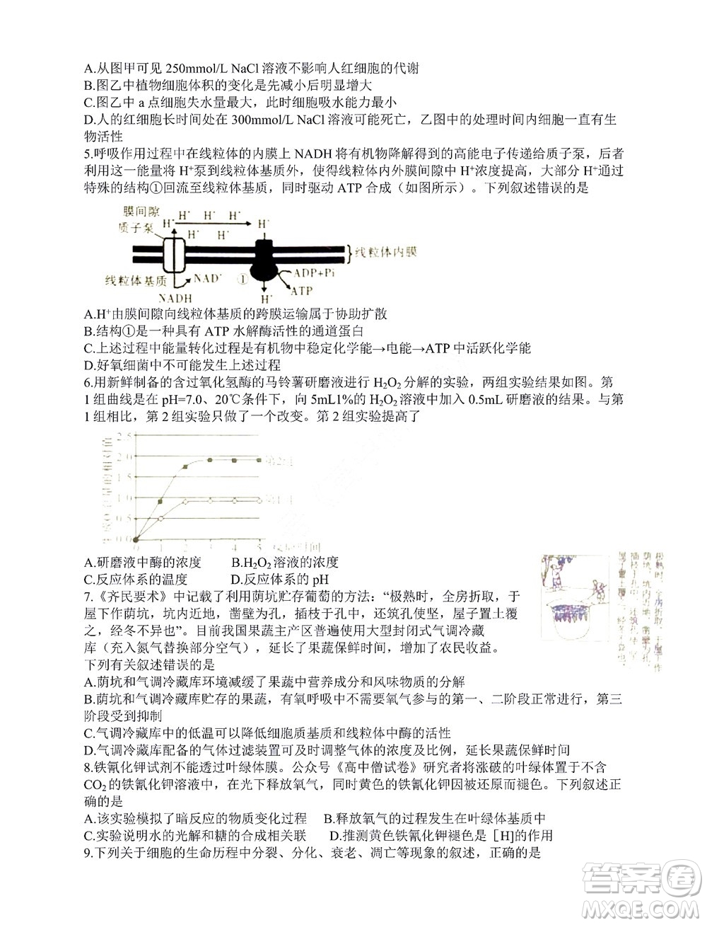 咸陽市2022年高考模擬檢測一生物試題及答案