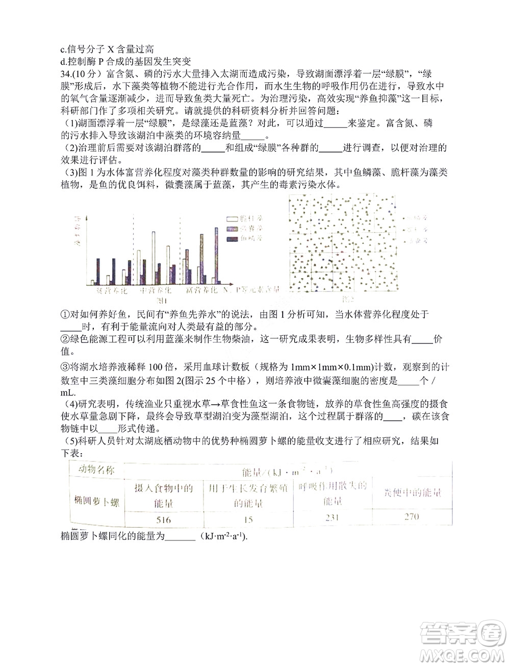 咸陽市2022年高考模擬檢測一生物試題及答案