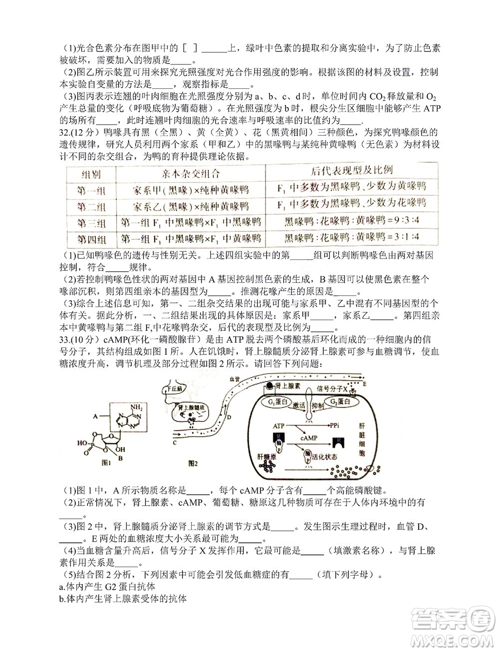 咸陽市2022年高考模擬檢測一生物試題及答案