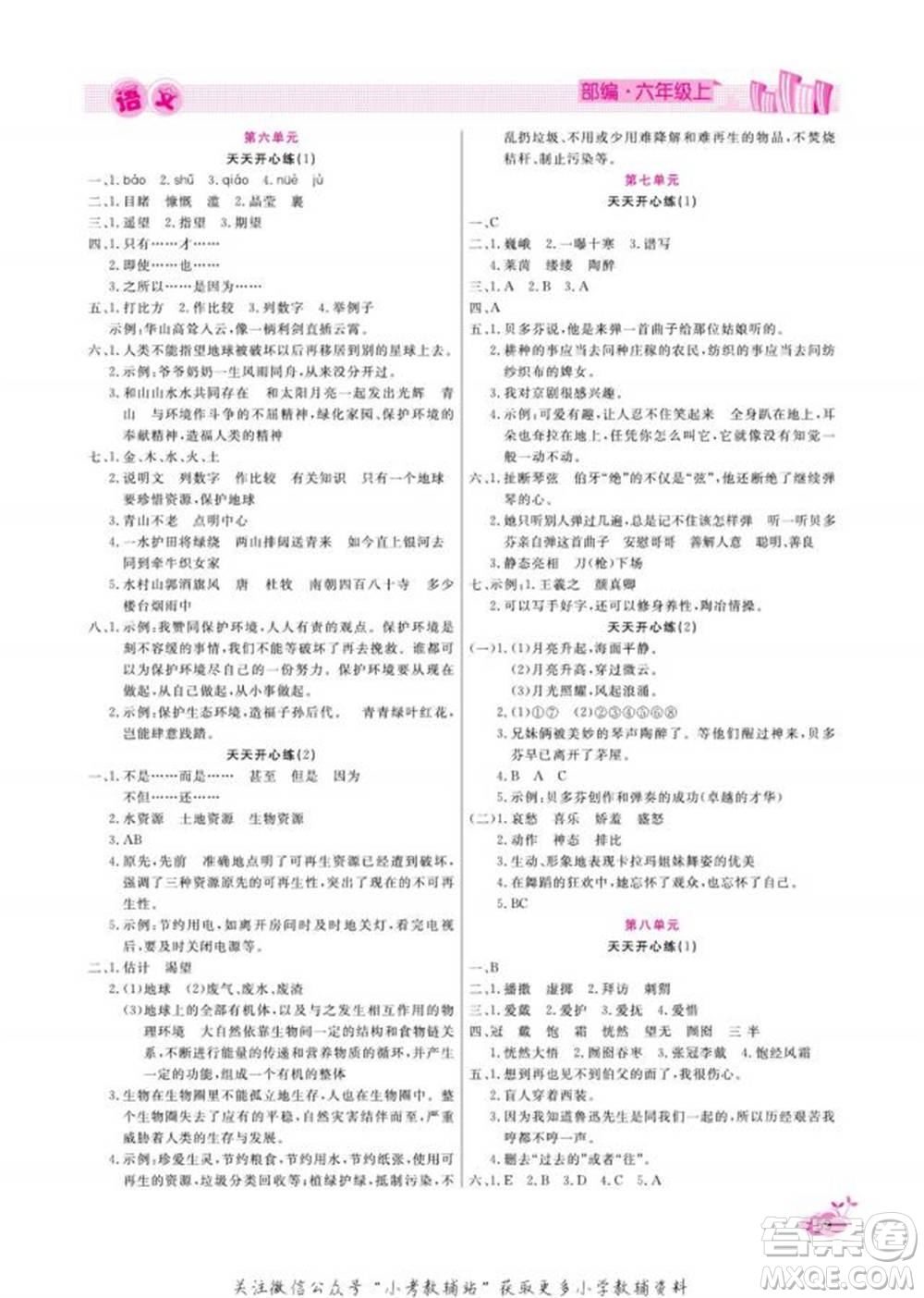 天津人民出版社2022快樂(lè)假期寒假作業(yè)六年級(jí)語(yǔ)文部編版參考答案