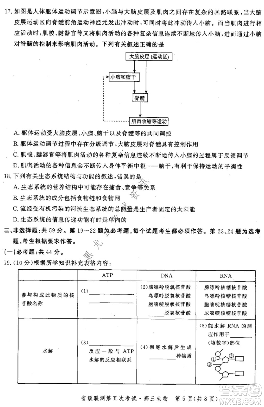 河北省級(jí)聯(lián)測(cè)2021-2022第五次考試高三生物試題及答案
