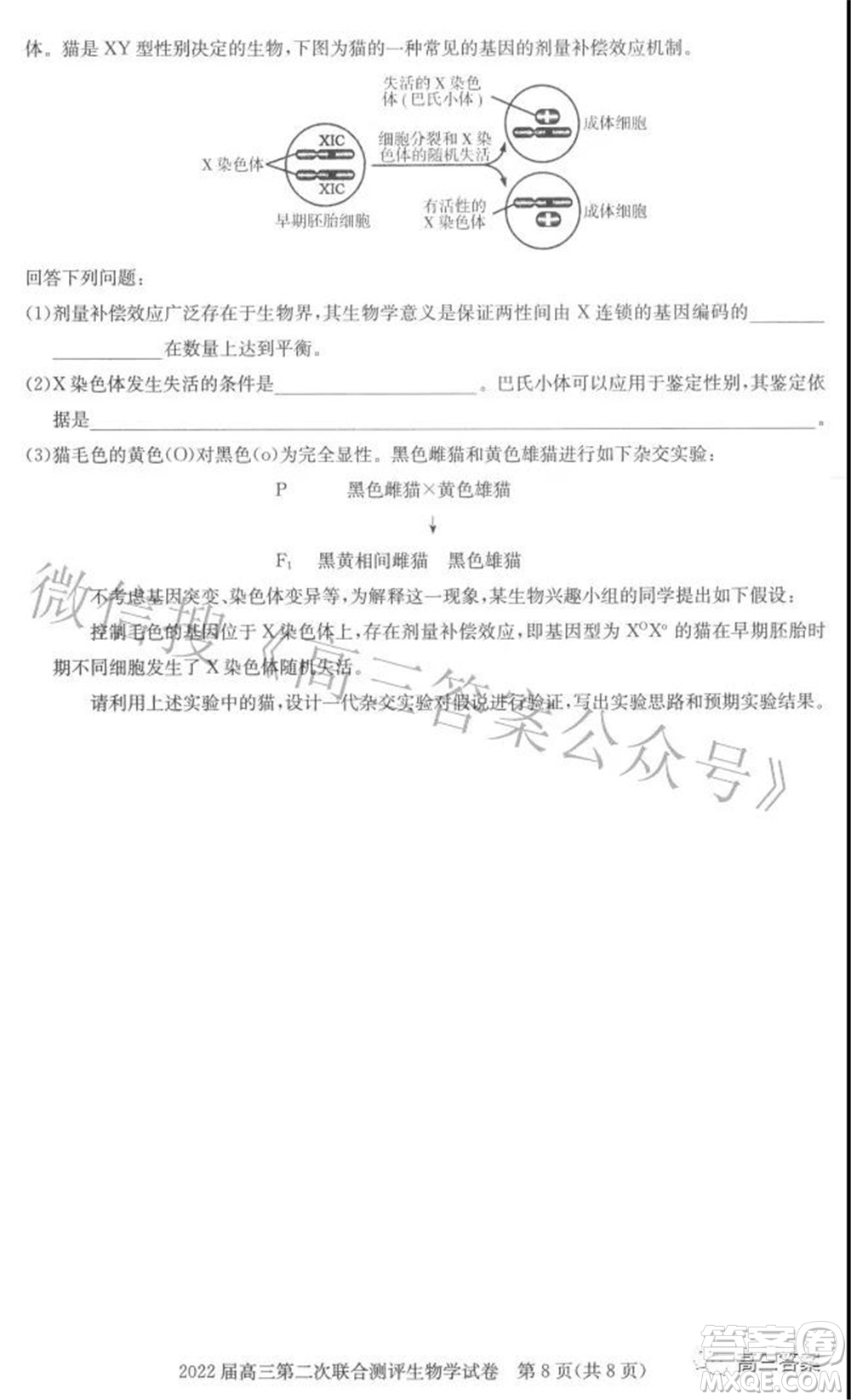 圓創(chuàng)聯(lián)考2021-2022學年高三上學期第二次聯(lián)合測評生物試題及答案