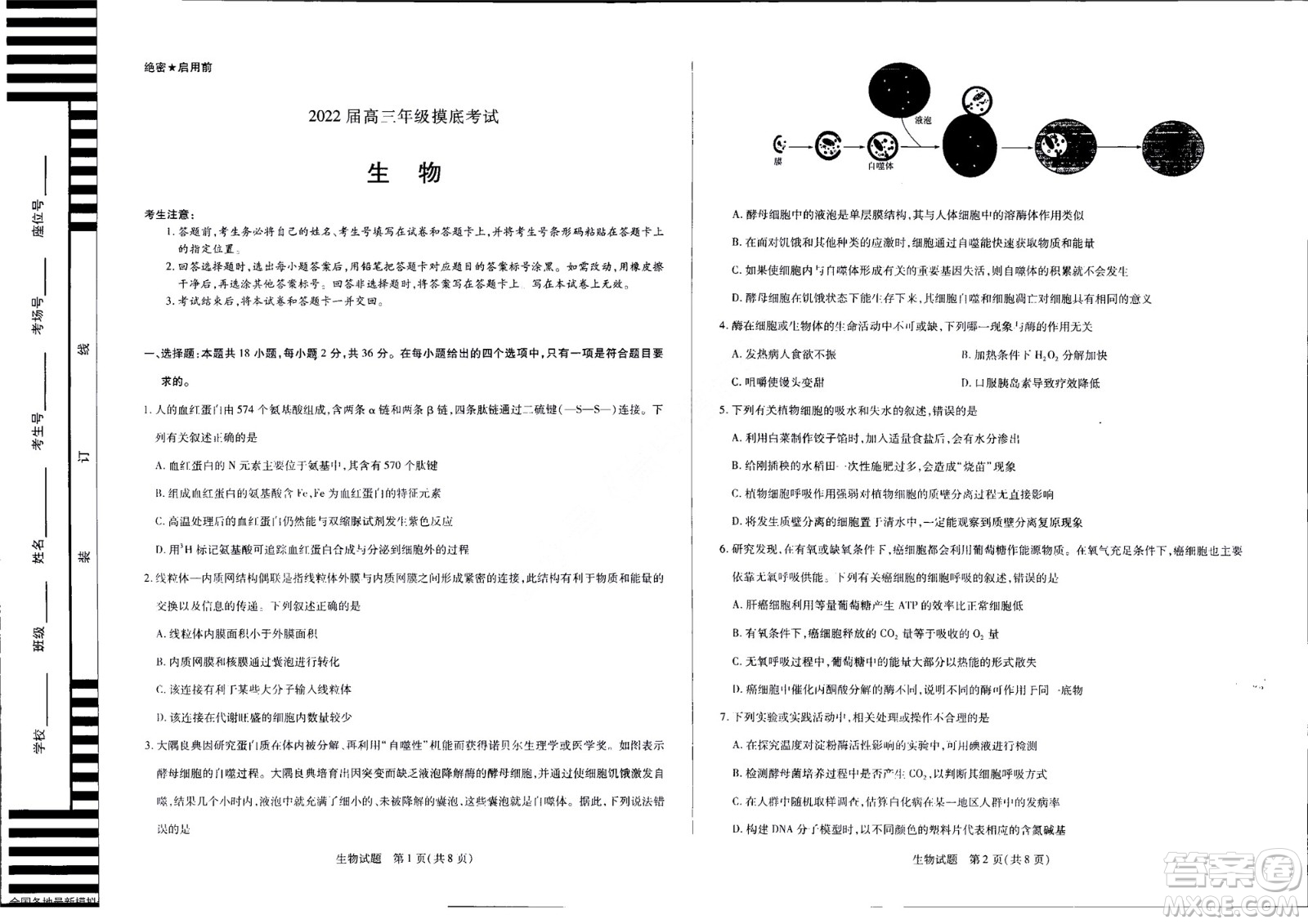 濮陽2022屆高三年級摸底考試生物試題及答案