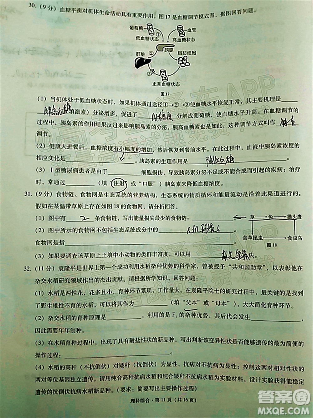 貴陽(yáng)市五校2022屆高三年級(jí)聯(lián)合考試五理科綜合試題及答案