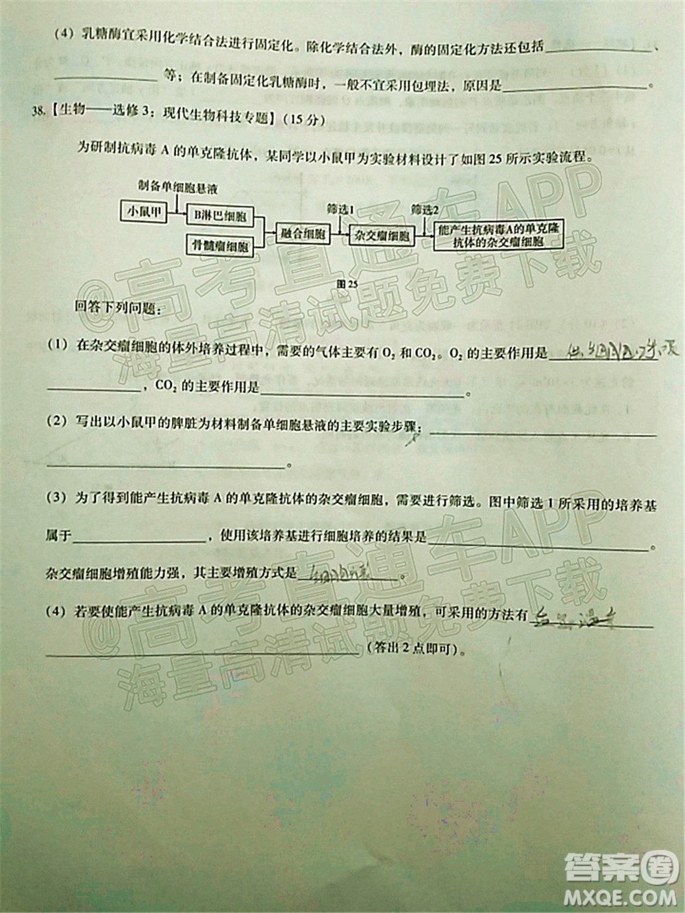 貴陽(yáng)市五校2022屆高三年級(jí)聯(lián)合考試五理科綜合試題及答案