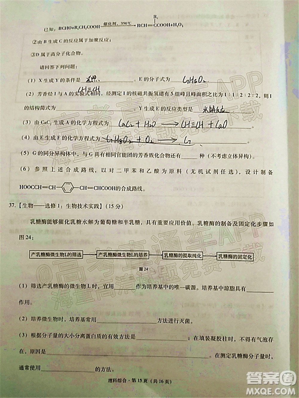 貴陽(yáng)市五校2022屆高三年級(jí)聯(lián)合考試五理科綜合試題及答案