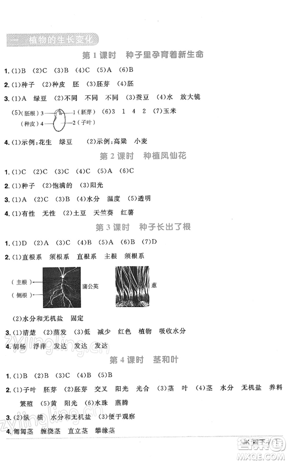 江西教育出版社2022陽光同學(xué)課時優(yōu)化作業(yè)四年級科學(xué)下冊JK教科版答案