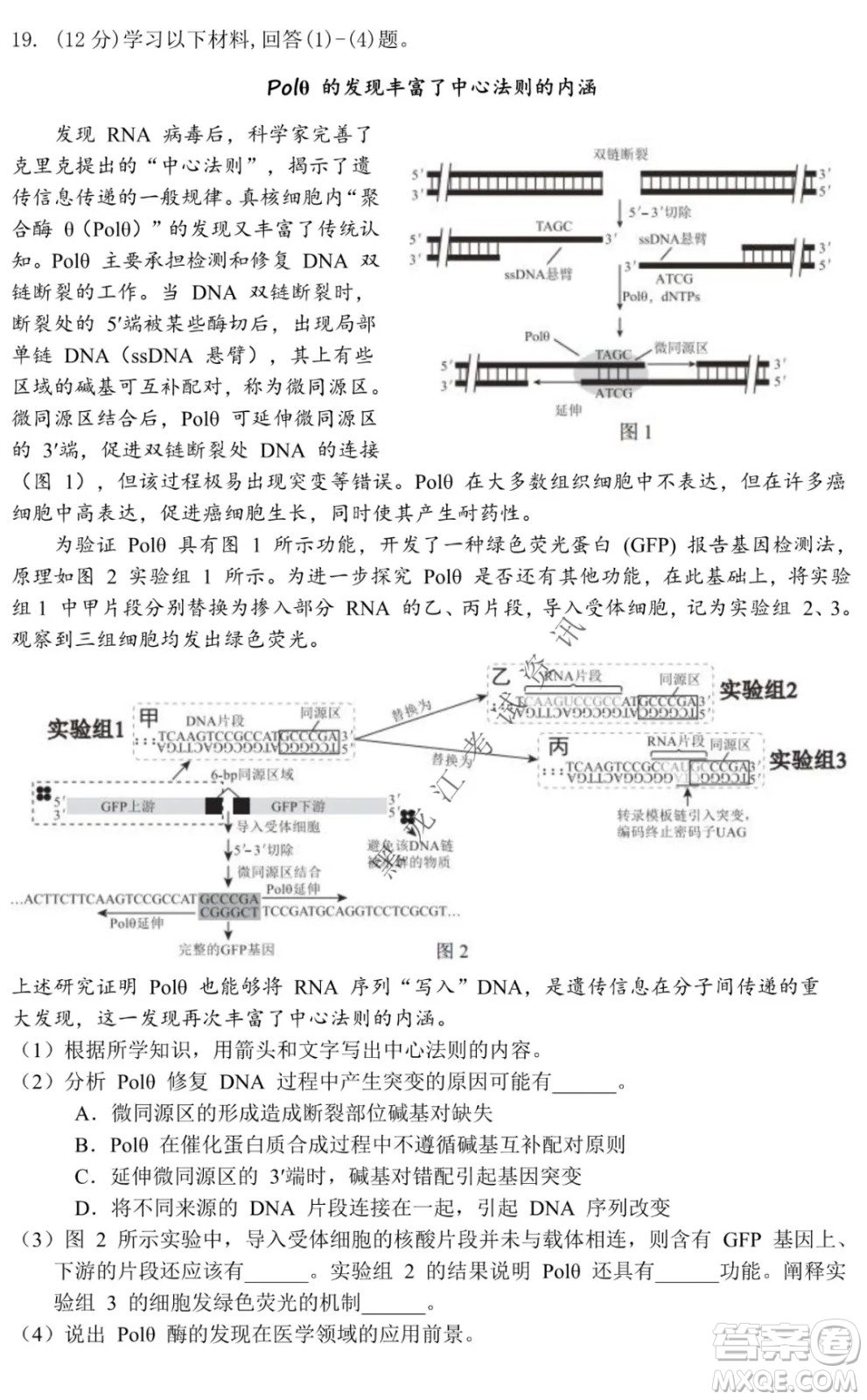 北京市西城區(qū)2021-2022學(xué)年第一學(xué)期期末試卷高三生物試題及答案