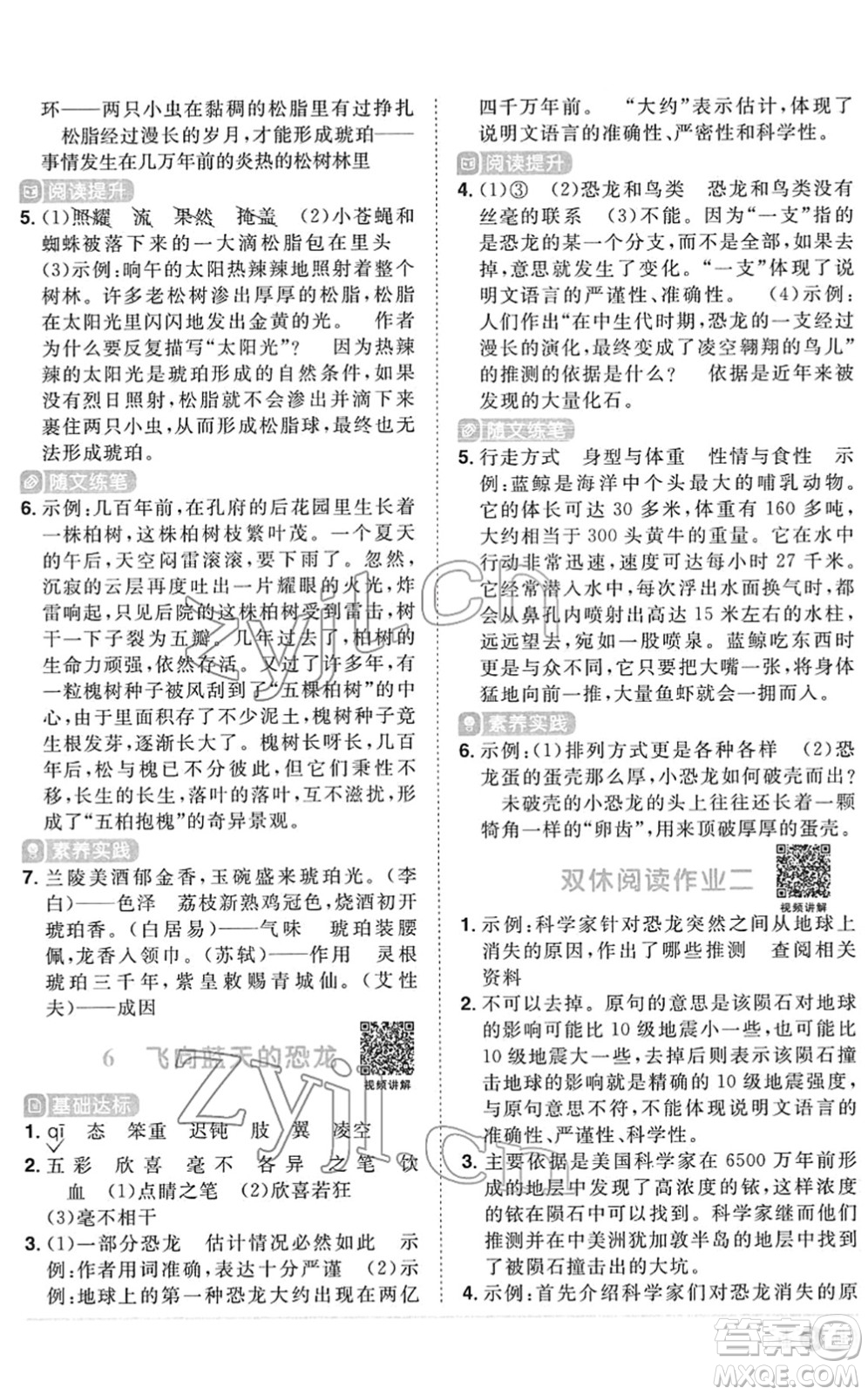 江西教育出版社2022陽光同學(xué)課時(shí)優(yōu)化作業(yè)四年級語文下冊RJ人教版菏澤專版答案