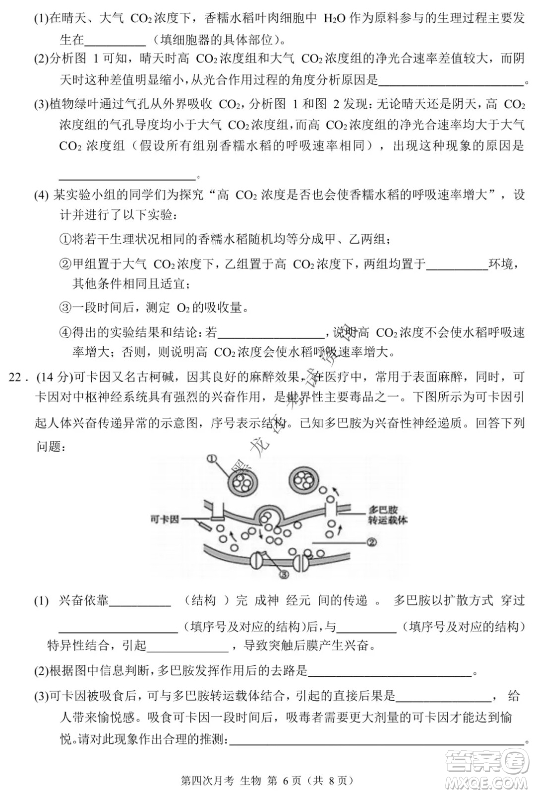 西南大學(xué)附屬中學(xué)校高2022屆第四次月考高三生物試題及答案