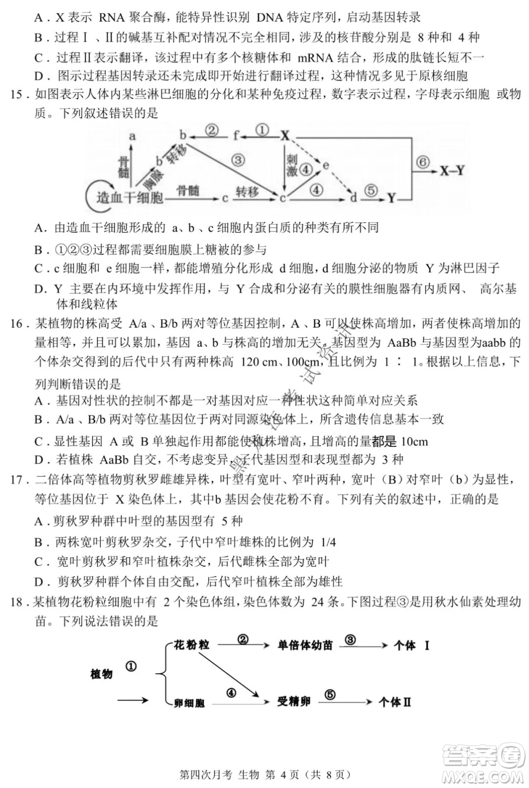 西南大學(xué)附屬中學(xué)校高2022屆第四次月考高三生物試題及答案