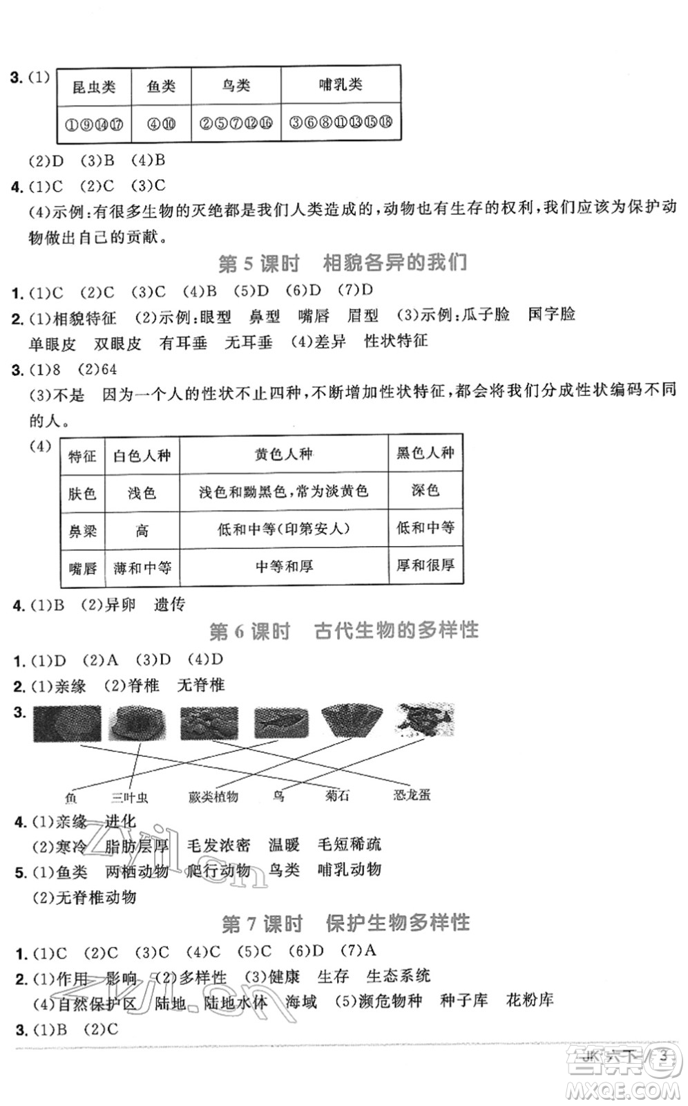 江西教育出版社2022陽光同學課時優(yōu)化作業(yè)六年級科學下冊JK教科版答案