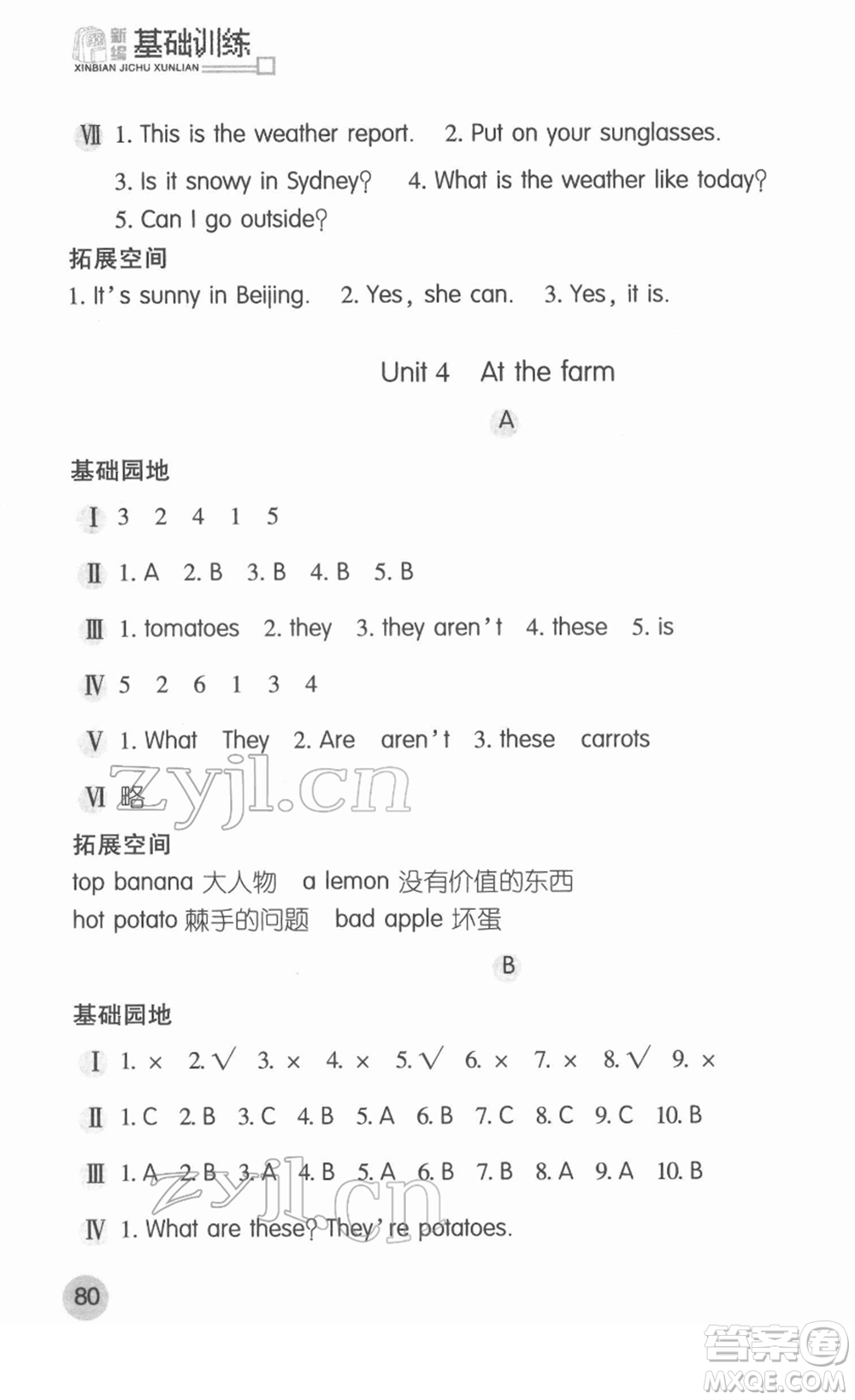 安徽少年兒童出版社2022新編基礎(chǔ)訓練四年級英語下冊人教版答案
