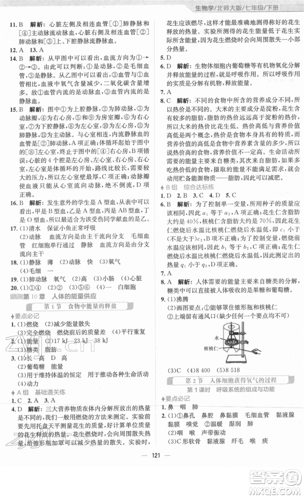 安徽教育出版社2022新編基礎(chǔ)訓(xùn)練七年級(jí)生物下冊(cè)北師大版答案