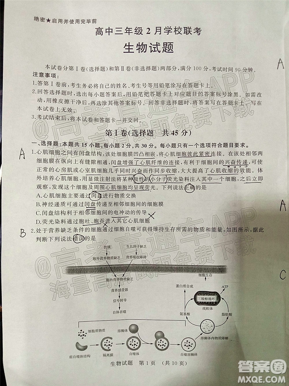 2022年濟(jì)南十一校高三年級(jí)2月學(xué)校聯(lián)考生物試題及答案