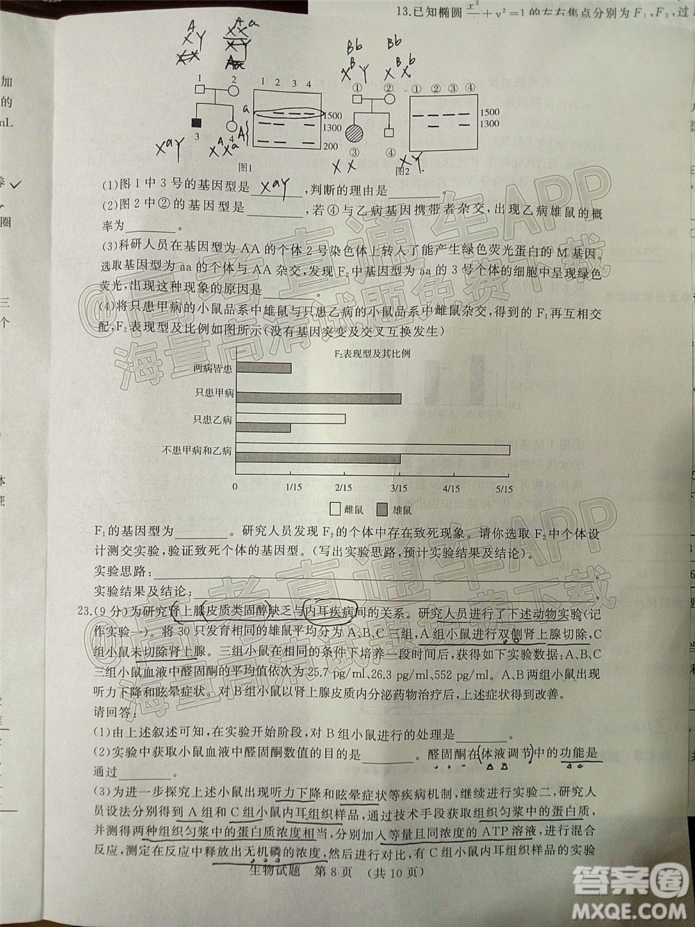 2022年濟(jì)南十一校高三年級(jí)2月學(xué)校聯(lián)考生物試題及答案