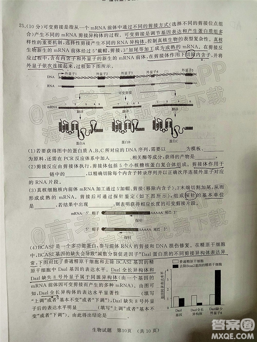 2022年濟(jì)南十一校高三年級(jí)2月學(xué)校聯(lián)考生物試題及答案