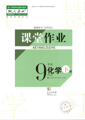 武漢出版社2022智慧學(xué)習(xí)天天向上課堂作業(yè)九年級(jí)化學(xué)下冊(cè)人教版答案