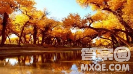 關(guān)于進化的思考小學作文400字 對進化的思考的小學作文400字
