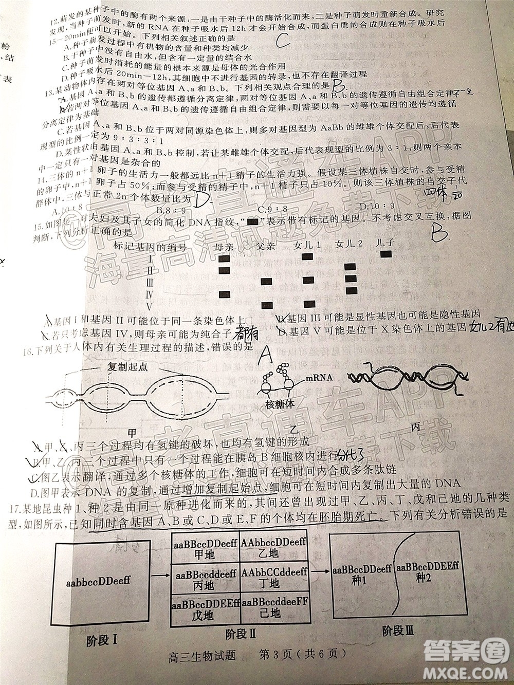 河南信陽2021-2022學(xué)年普通高中高三第二次教學(xué)質(zhì)量檢測(cè)生物試題及答案