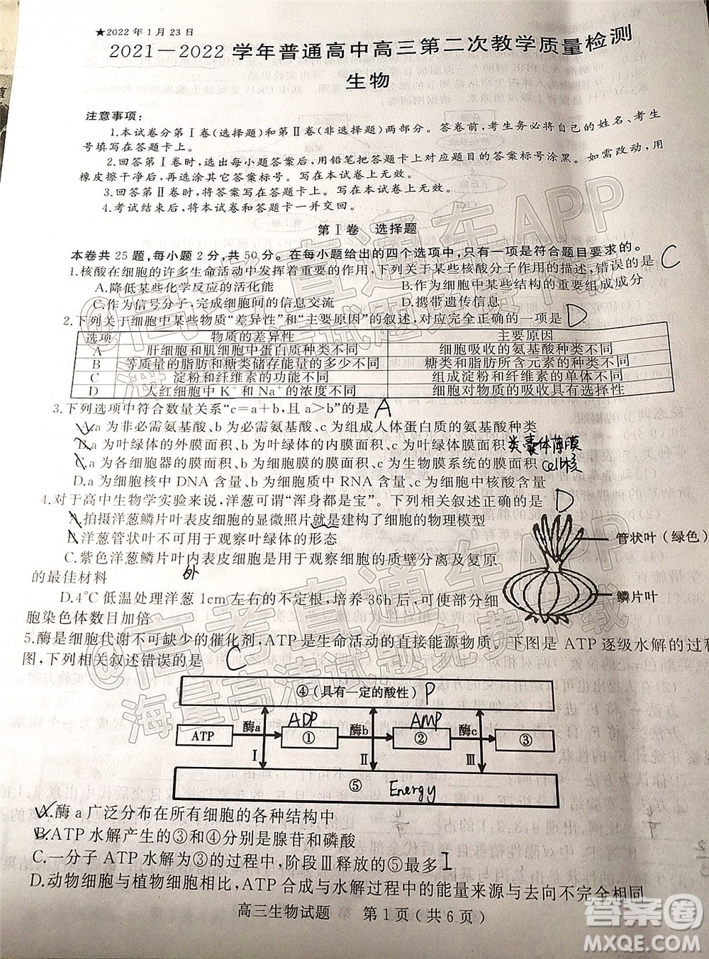 河南信陽2021-2022學(xué)年普通高中高三第二次教學(xué)質(zhì)量檢測(cè)生物試題及答案