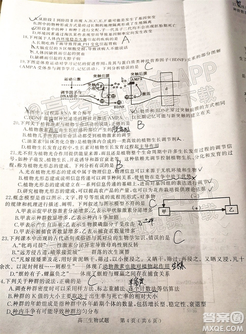 河南信陽2021-2022學(xué)年普通高中高三第二次教學(xué)質(zhì)量檢測(cè)生物試題及答案