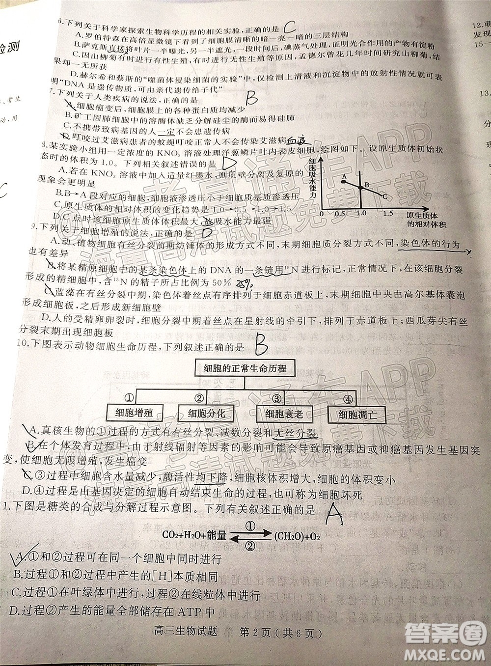 河南信陽2021-2022學(xué)年普通高中高三第二次教學(xué)質(zhì)量檢測(cè)生物試題及答案