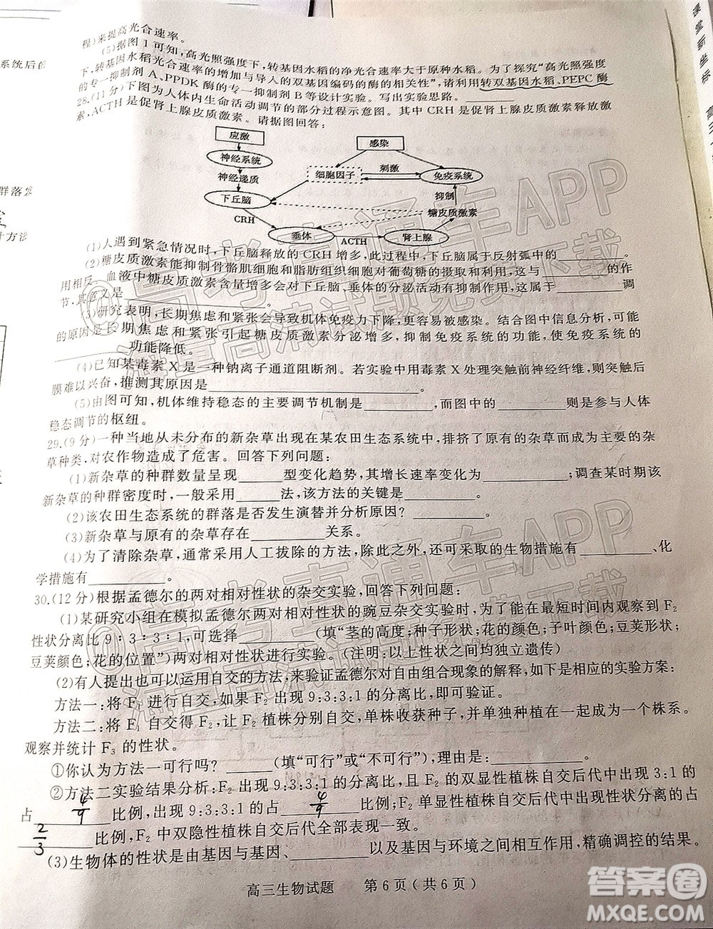 河南信陽2021-2022學(xué)年普通高中高三第二次教學(xué)質(zhì)量檢測(cè)生物試題及答案
