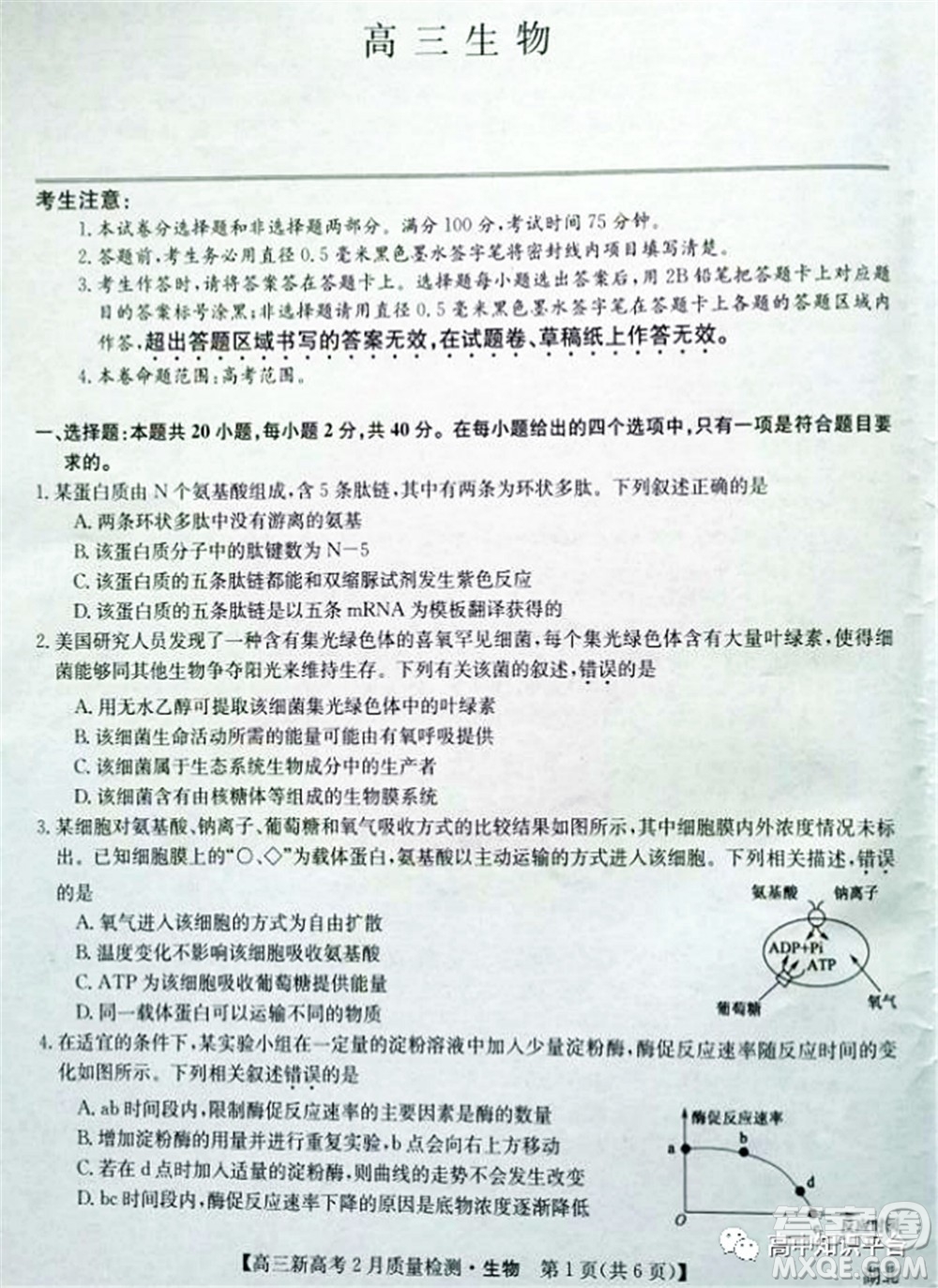 2022年湖北省新高考聯(lián)考協(xié)作體高三新高考2月質(zhì)量檢測(cè)生物試題及答案