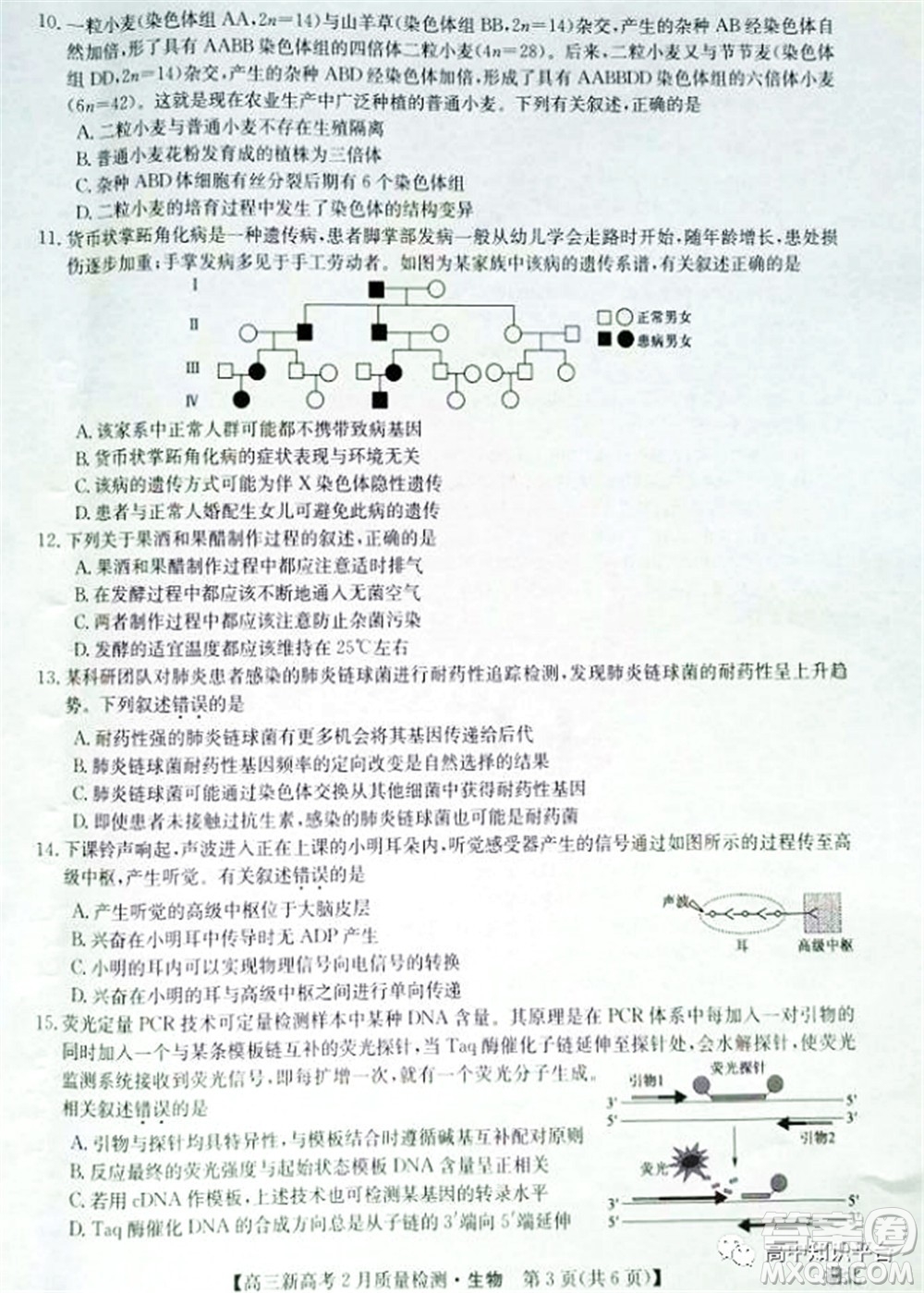 2022年湖北省新高考聯(lián)考協(xié)作體高三新高考2月質(zhì)量檢測(cè)生物試題及答案