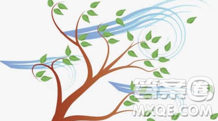 幾年為題作文800字 關于幾年為題的作文800字