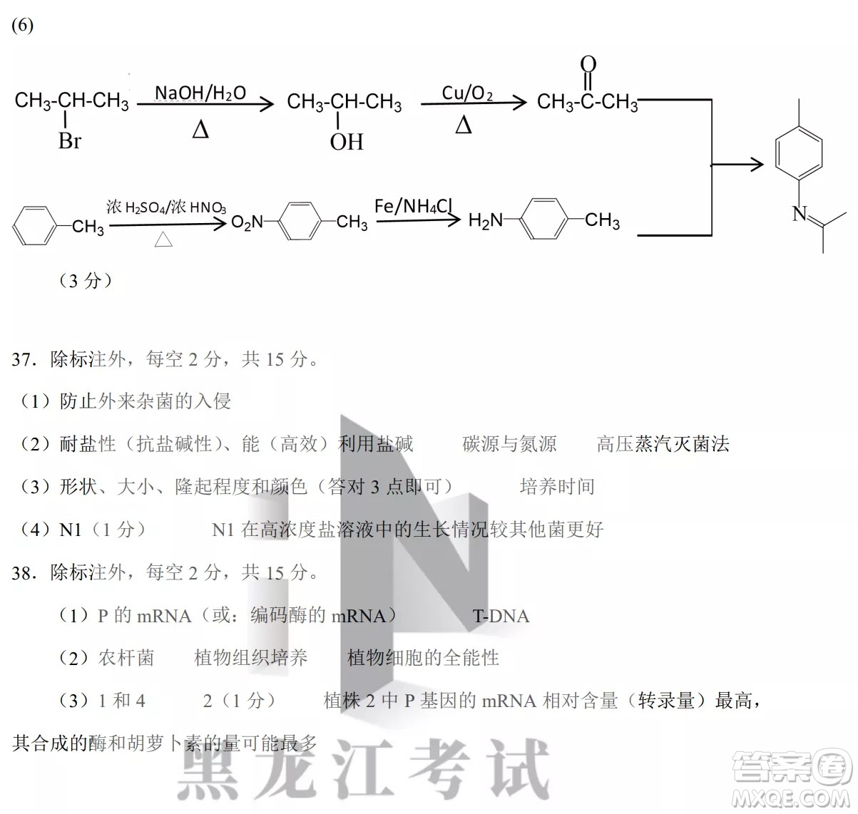 黑龍江省2022年春季學(xué)期高三年級校際聯(lián)合考試?yán)砜凭C合試題及答案