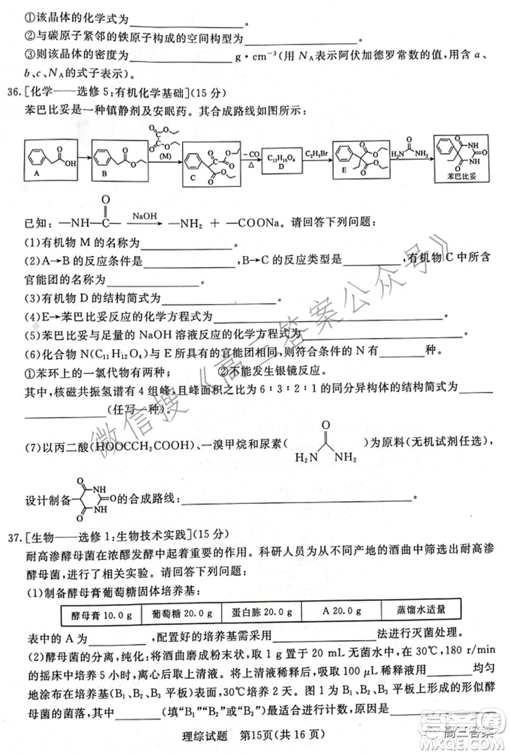 2022屆普通高等學(xué)校招生全國統(tǒng)一考試青桐鳴2月大聯(lián)考理科綜合試題及答案